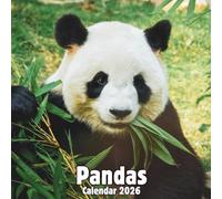 Pandas Calendar 2026: 14-Month Organizer from Nov 2025 to Dec 2026 | Perfect for Home, Office, School & Family Scheduling, For Men , Women , Girls , Boys