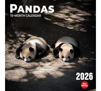 Pandas Calendar 2026: A year full of tumbling cubs and slow-moving charm