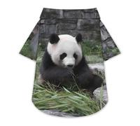 Pandas Eat Bamboo Pet Summer Shirt Button Up Clothes | Breathable T-Shirt for Small Medium Dogs Cats