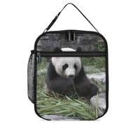 Pandas Eat Bamboo Portable Insulated Lunch Bag