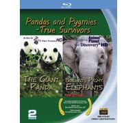 Pandas & Pygmies: True Survivors [Blu-ray] [2010] [US Import]