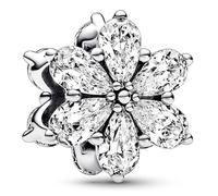 Pandora Charms Bright Herbal Charm 792623C01