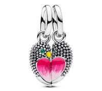 Pandora Charms Charm Love Birds Splittable Dangle 794484C01