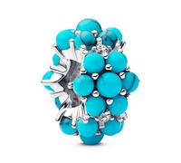 Pandora Charms Ocean Charm 793897C02