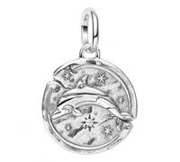PANDORA Dolphin Locket Charm Sterling Silver with Cubic Zirconia Moments and ME 794807C01