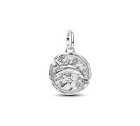 PANDORA Dolphin Medallion 794807C01 Charm Anhänger