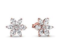 Pandora Earrings Brilliant Herbarium Stud Earrings 282407C01