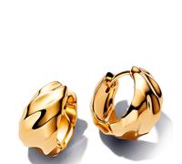 Pandora Earrings 263874C00, Jeden rozmiar, other metal, Without Gemstones