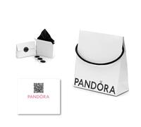 PANDORA Ecological packaging set (bag, folding box and certificate of authenticity) (1)