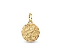 Pandora Charms Swallow Medallion Charm 764082C01