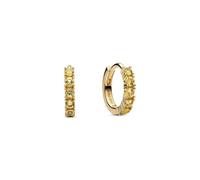 Pandora Timeless 263849C01 Yellow Huggie Earrings 14 Carat Gold-Plated Sterling Silver with Zirconia, 11,8x10,8x2,2 mm, Sterling Silver, No Gemstone