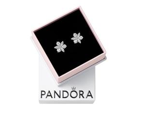 Pandora Timeless Herbarium cluster jewellery