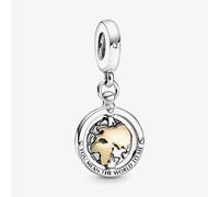 PANDORA Two Tone You Are My World Charm 799303C01