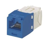 Panduit Copper Jack Module Blue - cable interface/gender adapters (RJ45, RJ45, Blue, Copper Jack Module)