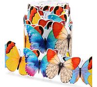 Panelee Spring Colorful Butterfly Border 68.9 Feet Bulletin Board Border Butterflies Flowers Bee Space Inspirational Cute Decor for Classroom Bulletin Boards Chalkboard Wall Decor