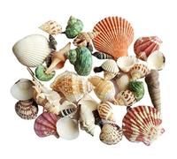 PANGBOER 1 Bag of Natural Conch Shells for Versatile Decoration Including Aquarium Ornaments and Crabs Environments Fishtanks Decors