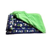 PANGBOER Bearded Dragon Bed with Pillow and Blanket Comfortable Warm Bed with Plush Cover for Leopard Beard Dragon Tank Accessories