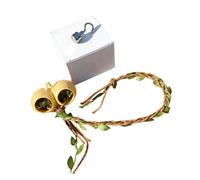 PANGBOER Transparents Acrylic Jumping Spiders Habitats with Hideaways and Ventilation Reptiles Enclosures for Easy Invertebrate Pet Homes