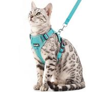pangdi Cat Harness and Leash Escape Proof Extra Large Kitten Harness Maine Coon Cat Vest for Walking Travel, Turquoise, XL