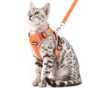 pangdi Cat Harness and Leash Escape Proof Extra Large Kitten Harness Maine Coon Cat Vest for Walking Travel, Orange, XXL
