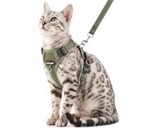 pangdi Cat Harness and Leash Escape Proof Extra Large Kitten Harness Maine Coon Cat Vest for Walking Travel, Dark Green, XL