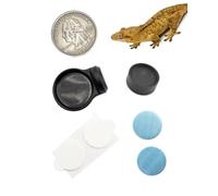 Pangea Microdish Kit for Micro Gecko Feeding, Mini Water Bowl for Tiny Reptiles and Other Small Pets, Magnetic Attachment Dots Included 1.5in x .75in (S Surface Mount)