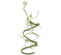 Pangea Reptile Ultimate Vine for Terrarium Habitat (Green)