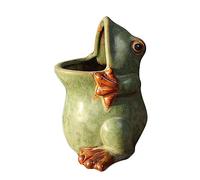PANGHUBO Frog Succulent Pots, Plant Pots for Frog Decor Small Animal Succulent Planters, Cute Cactus Flower Pot/Garden Planters for Home Office Desk Mini Ornament (A)