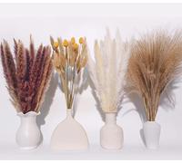 Pangogogo 100 Pcs Dried Flowers Bouquet - Pampas Grass Artificial with Bunny Tails Gold Ball - Pampas Grass for Wedding ,Rustic Party