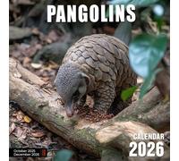 Pangolins Calendar 2026: Scaled wanderers captured in secret forest moments