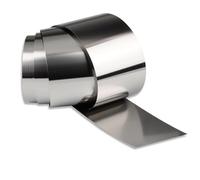 Pangyoo 304 Stainless Steel Foil Strip Width 10mm 20mm 30mm 40mm 50mm 100mm Steel Foil Roll Narrow Strip Thick 0.1mm-1mm 1 Meter(0.1mmx10mm)