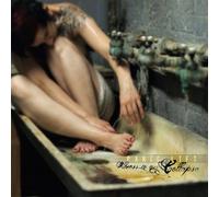 Panic Lift - Witness To Our Collapse