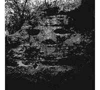 Panicsville - A Dragonfly For Each Corpse [VINYL]