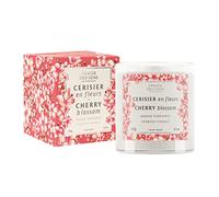 Panier des Sens - Cherry Blossom Candle - Scented Candles for Home - Soy Candle Made in France - Long Lasting Candle - 100% Vegetable Wax & Natural Cotton Wick - Vegan