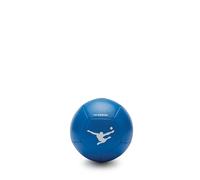 Panini Mini Training Football Size 1-12-Panel Machine-Stitched Ball, Blue with White Logo - Football Blue Collection
