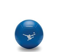 Panini Official Match Football Size 5-12-Panel Machine-Stitched Ball, Blue with White Logo - Football Blue Collection