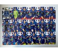 Panini Women's Super League 2025 Everton Base Team Cards