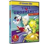 Panique a Bord - DVD Titi et Grosminet