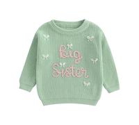 PanLidapan Toddler Baby Girls Sweaters Fall Winter Long Sleeve Pullover Knitwear Big Sister Knit Jumper Kids Tracksuit Clothes (Green, 2-3 Years)