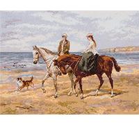 PANNA - Counted Cross Stitch Kit - Embroidery Kit - VH-7170 - Pre-Sorted Threads - Riders on The Shore - Aida - 12 x 9 Inch - DIY Kit