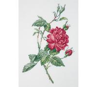 PANNA Klart Cross Stitch Embroidery Kit Botany Rose Counted Pattern 15 x 21.5 cm