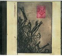 Panoply Academy Glee Club - What We Defend