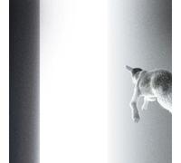 Keep Looking Where The Light Comes From [VINYL]