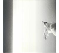 Keep Looking Where The Light Comes From [VINYL]