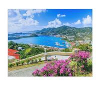 Panorama: Caribbean, St Thomas US Virgin Islands，Jigsaw Puzzles 1000 Pieces for Adults, Classic Puzzle Kids Puzzle Challenging And Difficult Puzzles for Adults And Teens（38x26cm）-U53