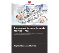 Panorama économique de Muriaé - MG: L'influence des acteurs locaux dans le processus de développement économique