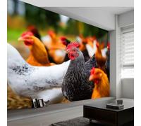 Panoramic Wallpaper Mural Photography Style Photo Wallpaper W350 x H256 cm, Farm Animals Chicken Luxury Art Photo Large Wall Mural Decor for Living Room Bedroom - Easy to Install