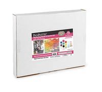 PanPastel Artist Pastels by GOLDEN, Julia Woning Book & Starter Kit Combination Set, 10 Color, Professional Artist Pastels, Unique Pan Format (cake-like)