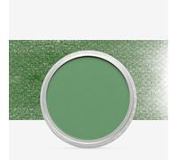 PanPastel Ultra Soft Artist Pastel 9Ml-Chromium Oxide Green