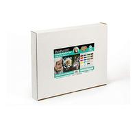 PanPastel Colorfin, Artists Pastels, 20-Color Kirsty Rebecca General Realism Kit (30254)